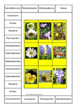 Bingo-Frühlingsblumen-2A.pdf